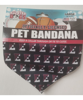 Dog Bandana Lg