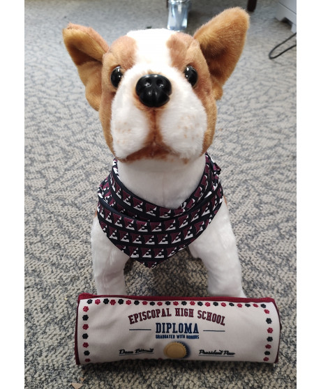 Diploma Toy