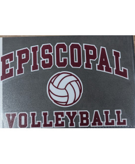 Decal Volleyball