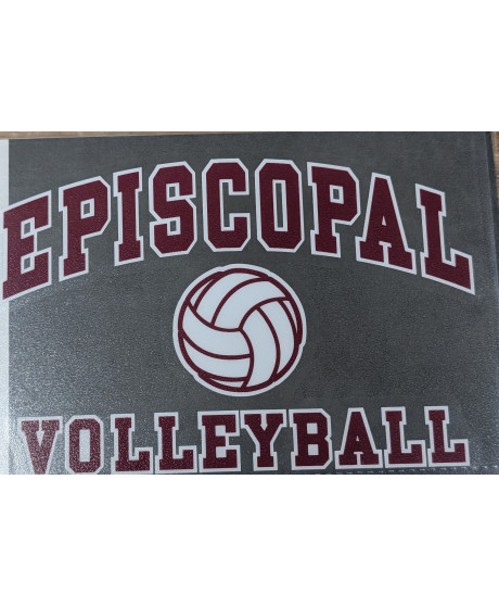 Decal Volleyball