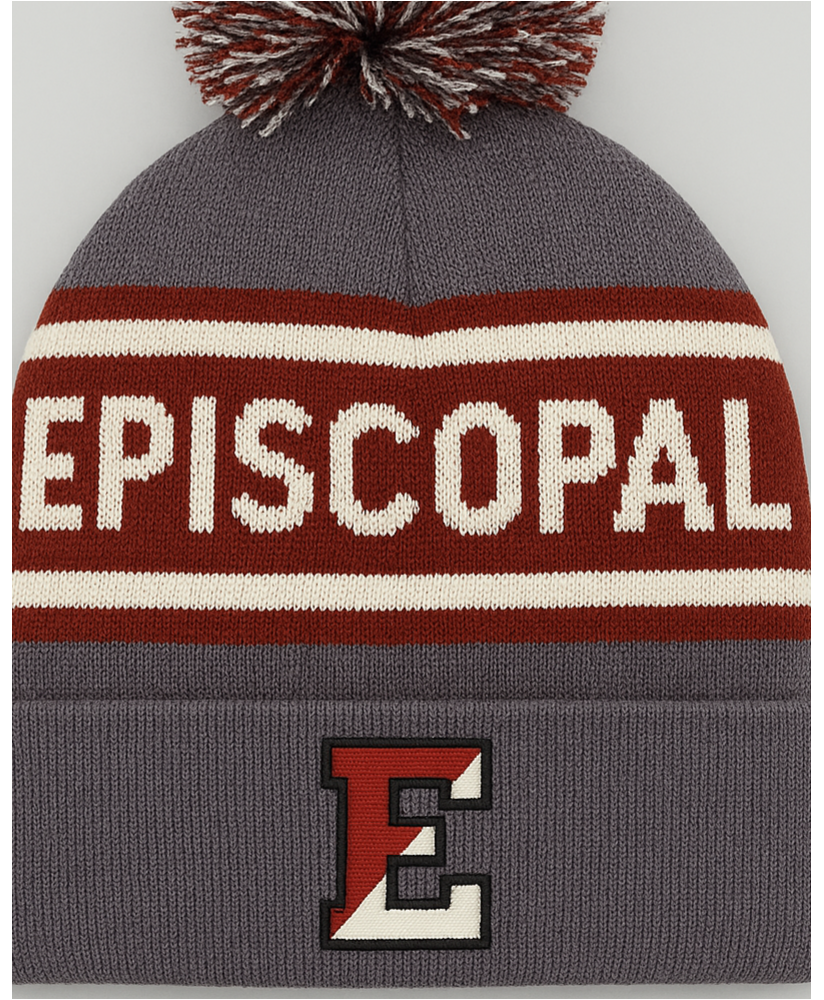 NEI Stripe Knit  cuffed beanie