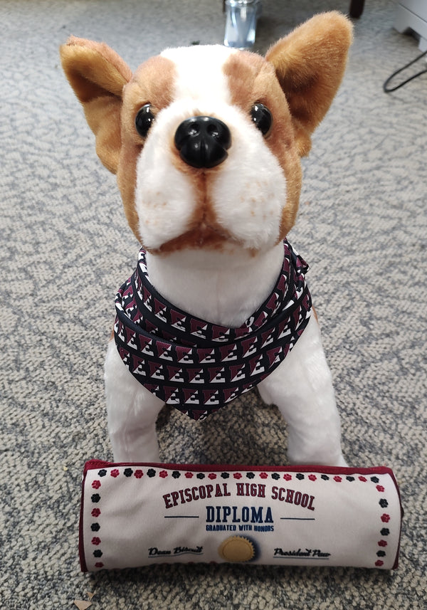 Diploma Toy