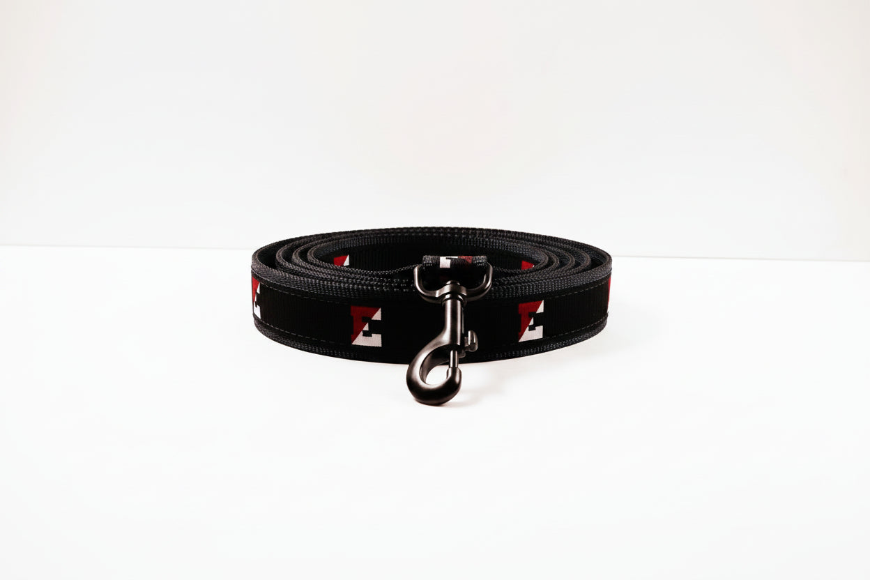 Dog leash