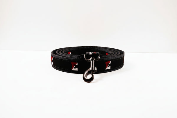 Dog leash